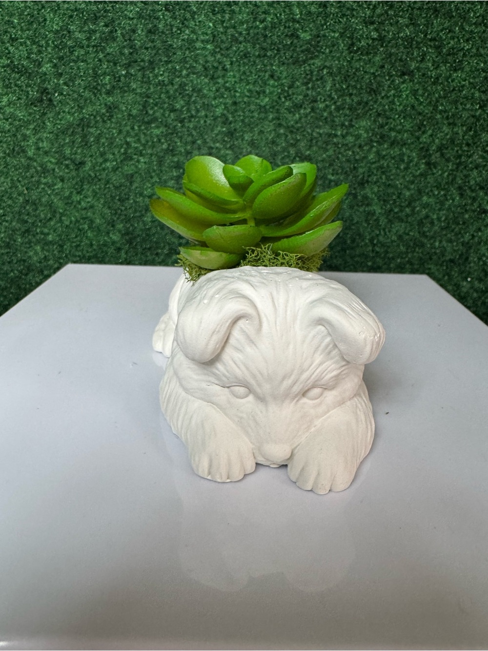 White Puppy Planter with Green Succulent Accent